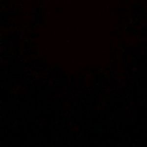 Meet your Posher, Jared